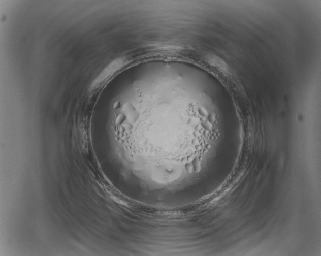 X0000062801354200512261545