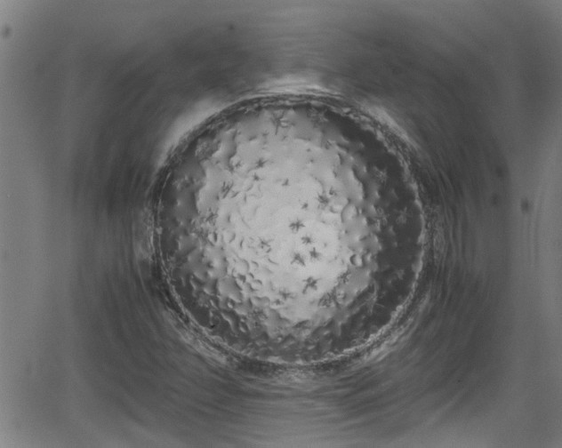 X0000062801358200512261545