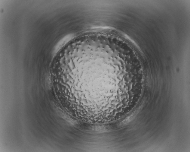 X0000062801362200512261544