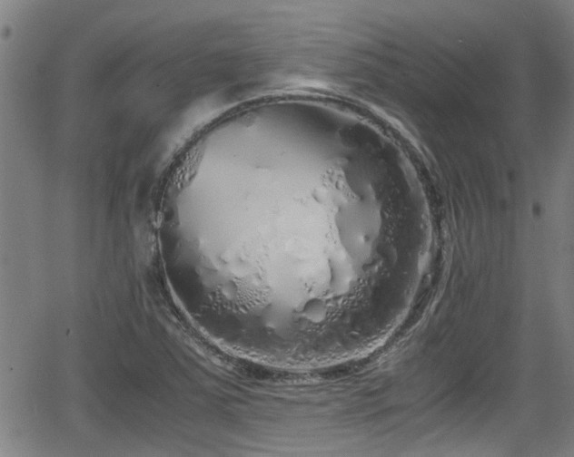 X0000062801363200512261544