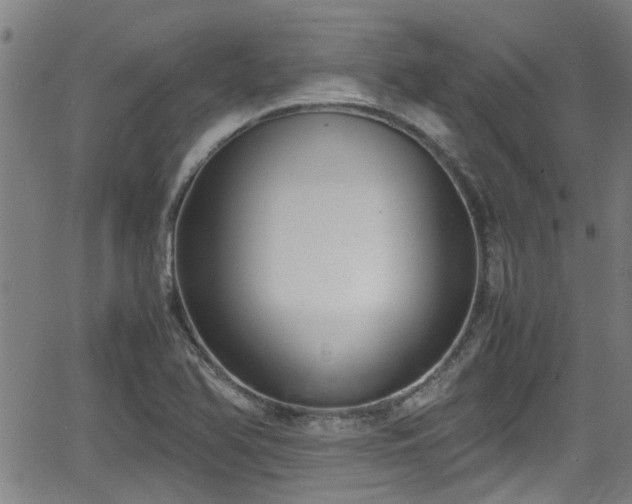 X0000062801366200512261544