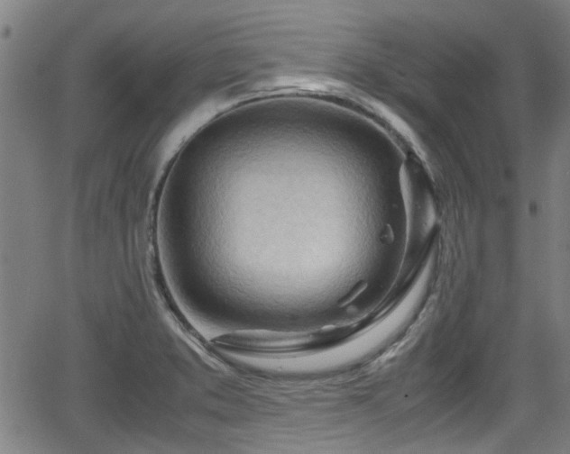 X0000062801373200512261544