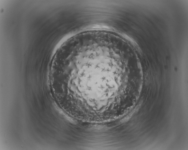 X0000062801374200512261544