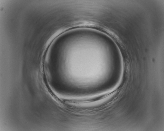 X0000062801375200512261544