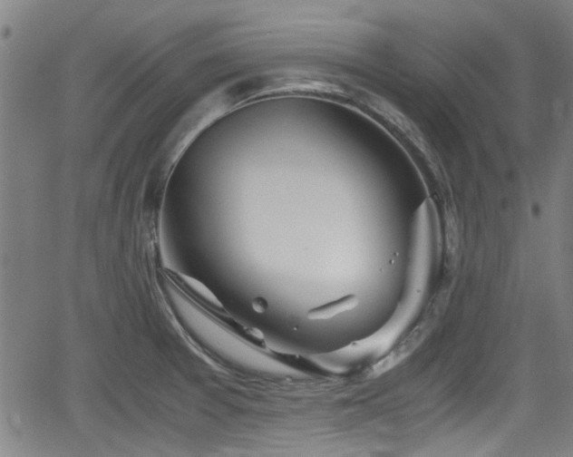 X0000062801377200512261544