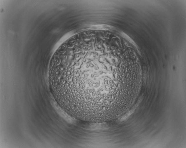 X0000062801378200512261544