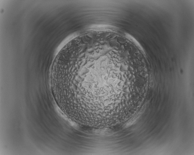 X0000062801386200512261544