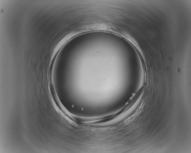 X0000062801389200512261544