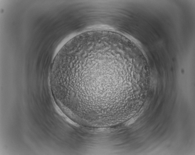 X0000062801390200512261544