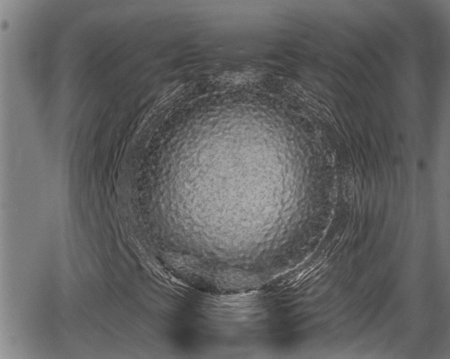 X0000062801393200512261543