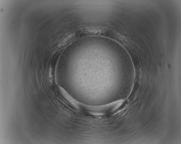 X0000062801394200512261543