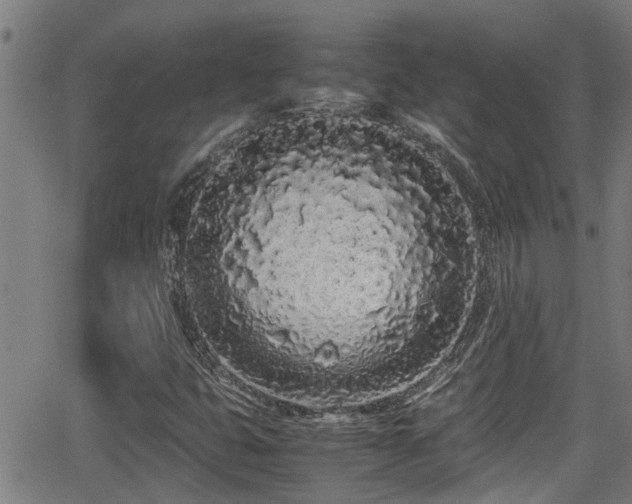 X0000062801399200512261543