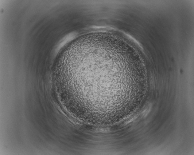 X0000062801411200512261543