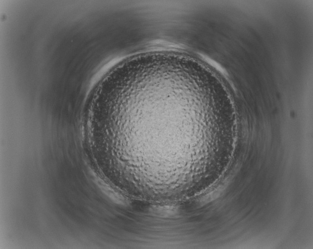 X0000062801415200512261544