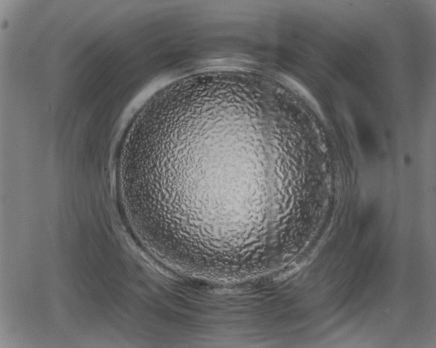 X0000062801419200512261544
