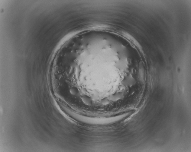 X0000062801429200512261544