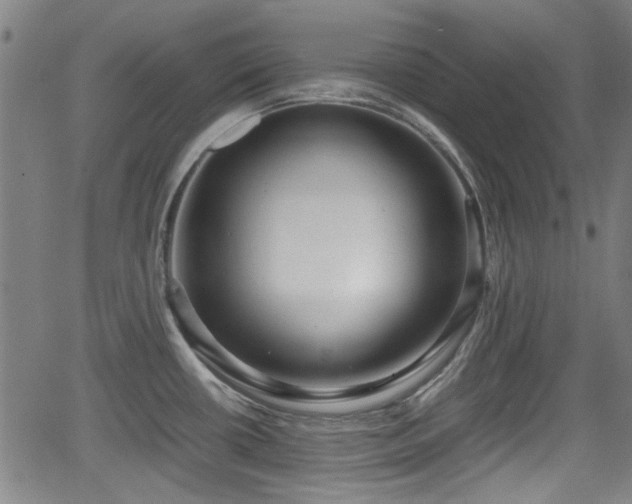 X0000062801434200512261544