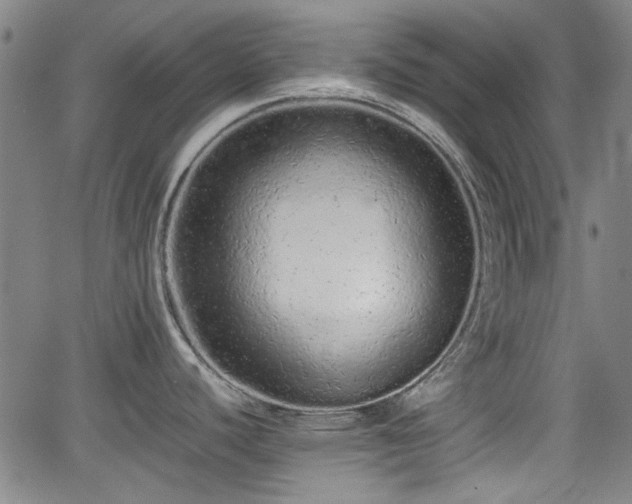 X0000062801440200512261544