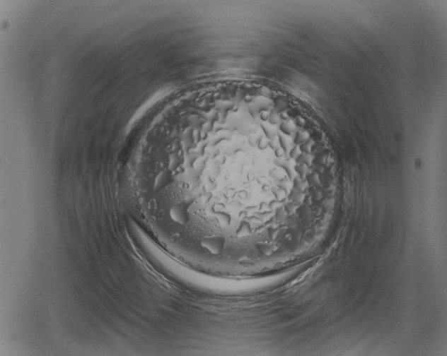 X0000062801450200512261543