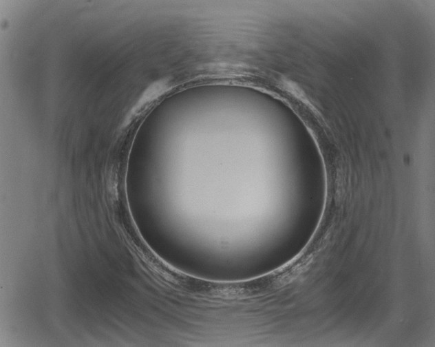 X0000062801451200512261543