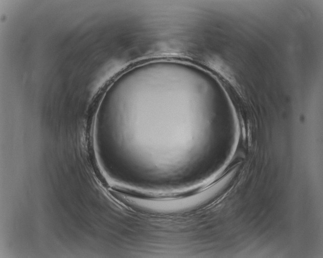 X0000062801452200512261543