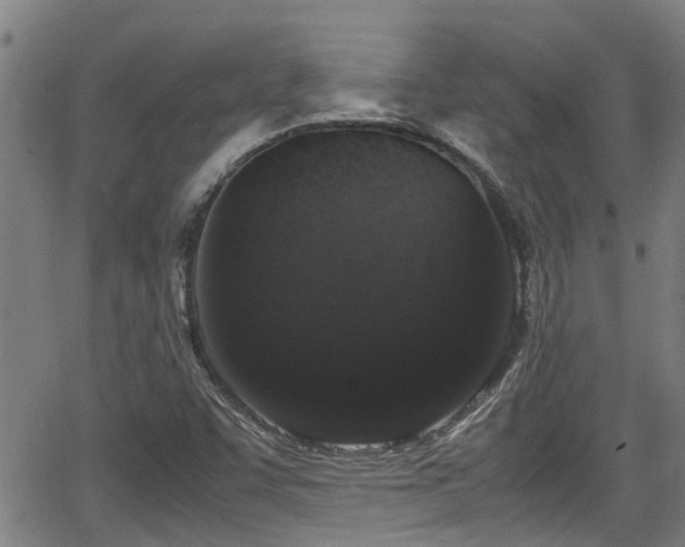 X0000062801455200512261543