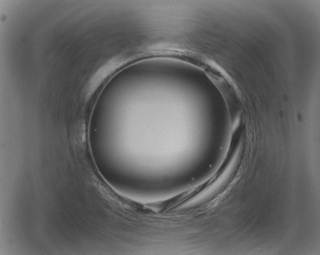 X0000062801461200512261543