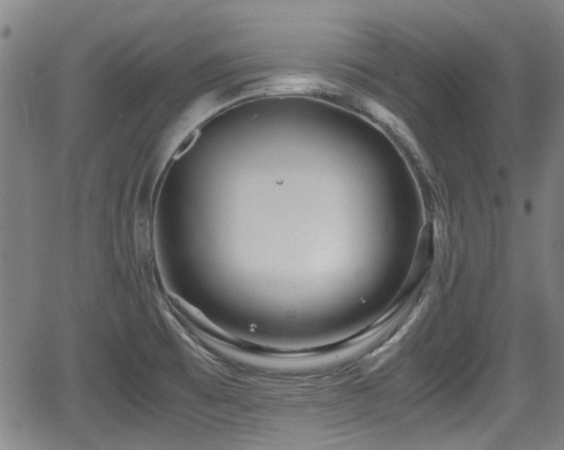 X0000062801473200512261543