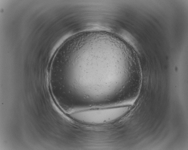 X0000062801476200512261543