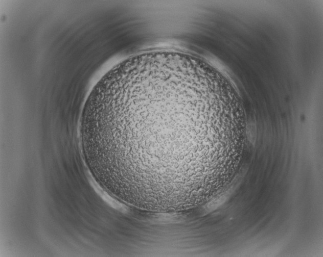 X0000062801482200512261542