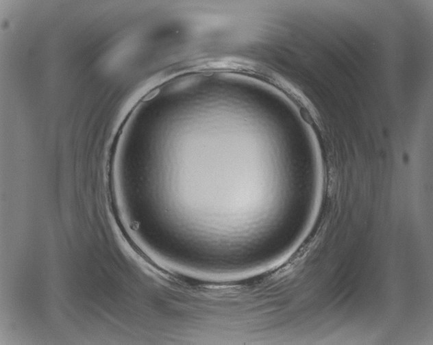 X0000062801483200512261542