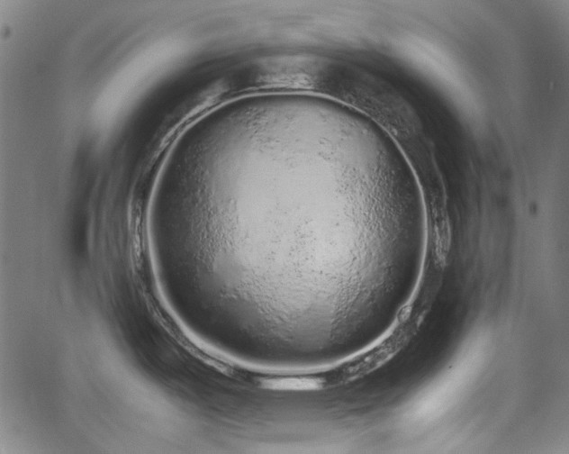 X0000062801487200512261542