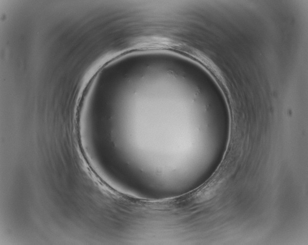 X0000062801488200512261542