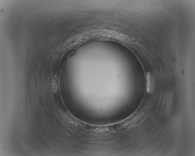 X0000062801491200512261542
