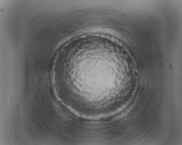X0000062801497200512261542