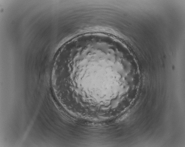 X0000062801505200512261542