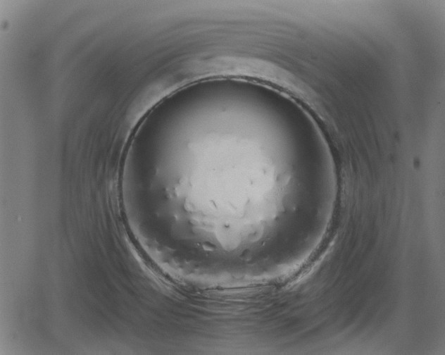X0000062801513200512261542