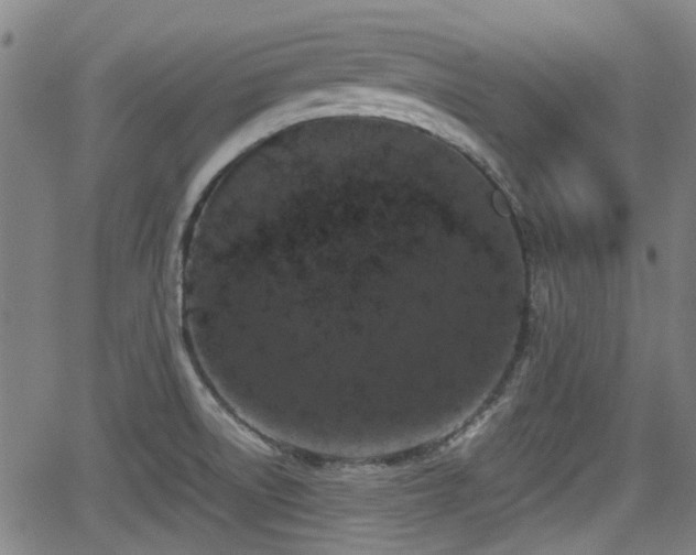 X0000062801522200512261542