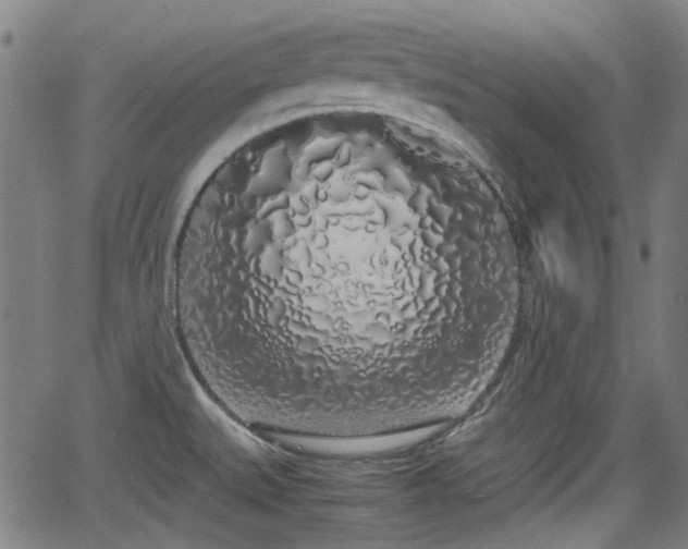 X0000062801527200512261542