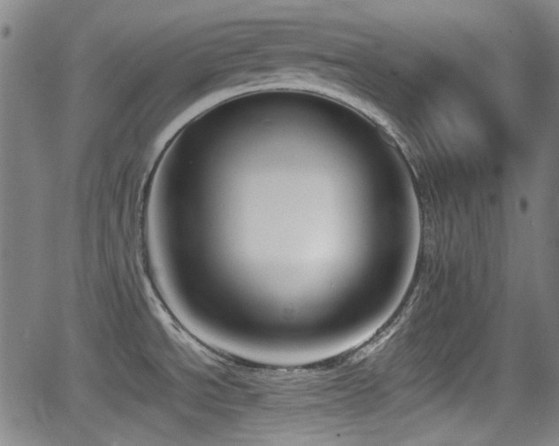 X0000062801534200512261542