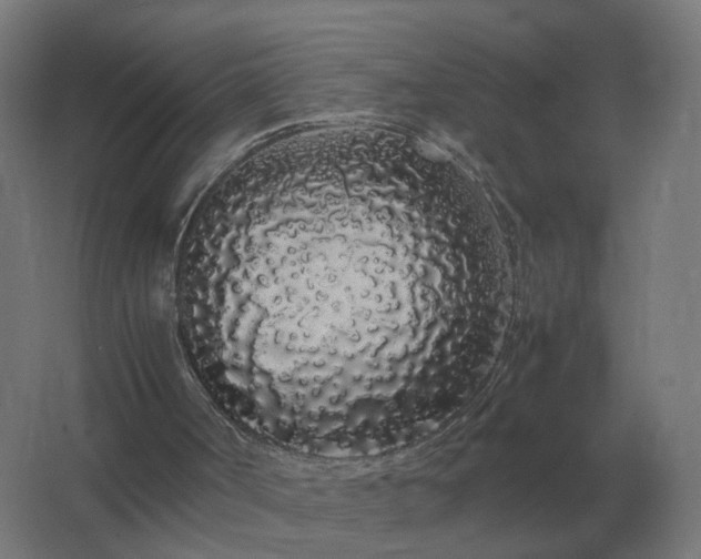 X0000062800002200512290300