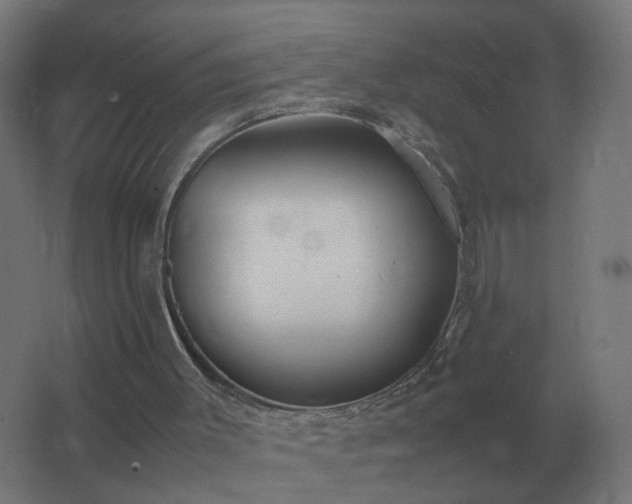 X0000062800003200512290300