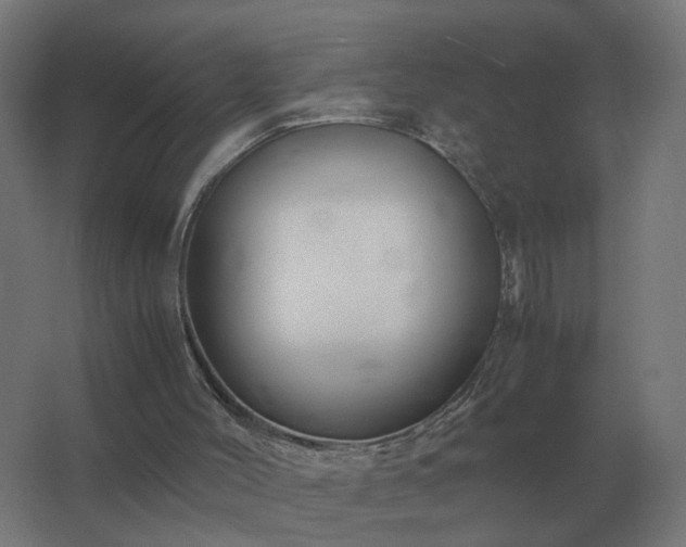X0000062800004200512290300
