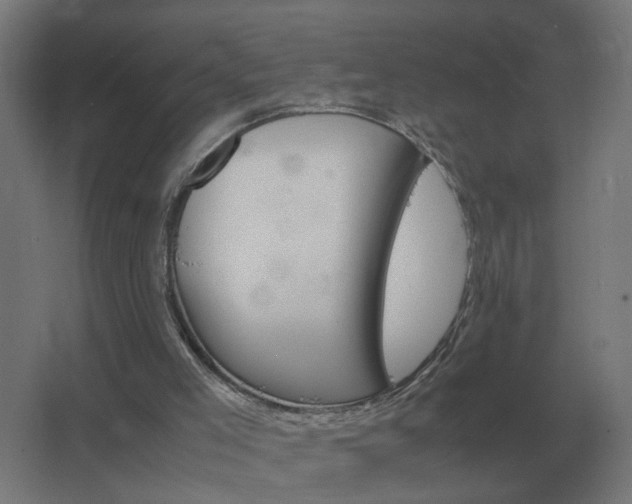 X0000062800005200512290300