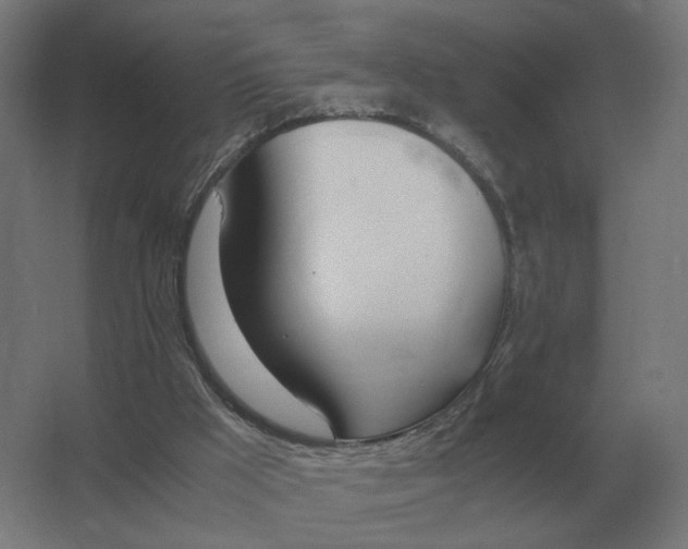 X0000062800009200512290300