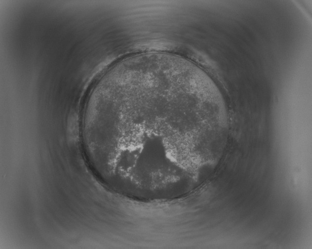 X0000062800012200512290300