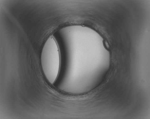 X0000062800017200512290300
