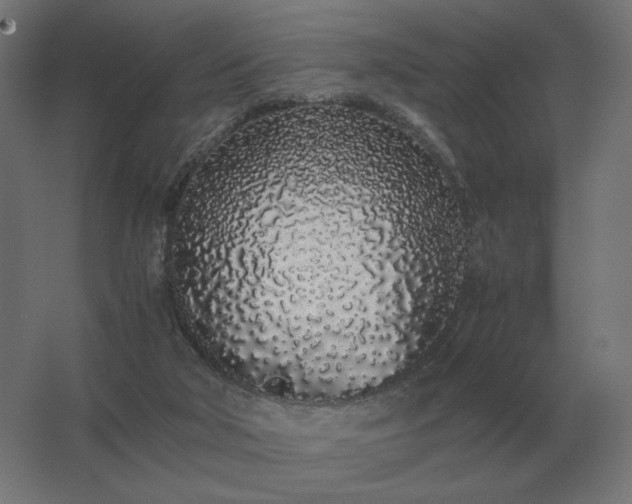 X0000062800018200512290300