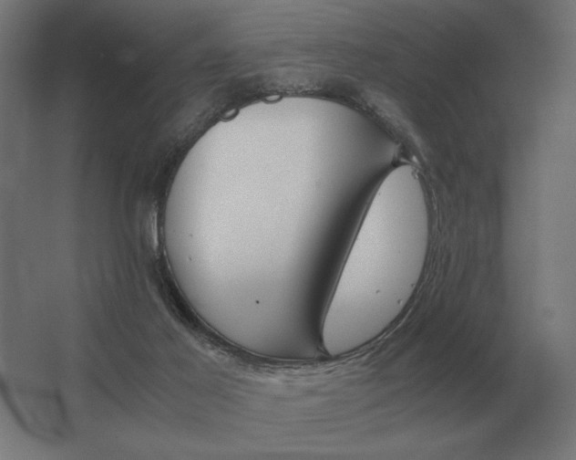 X0000062800021200512290300