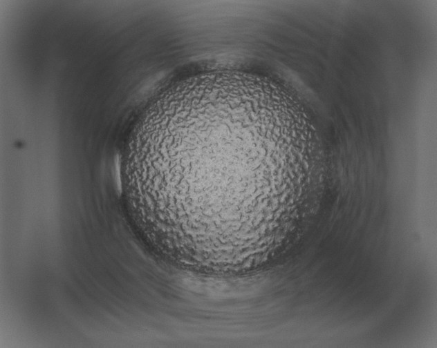 X0000062800022200512290300